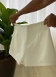 short alfaiataria zafora